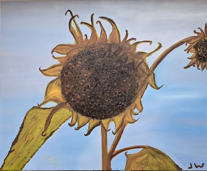 JW Goossen's Old Sunflower painting from his Random Paintings Series...